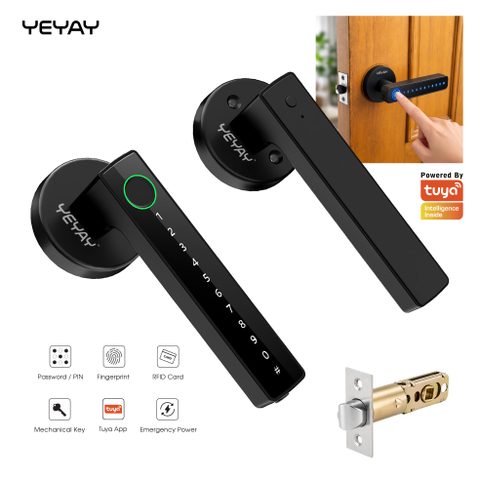Bluetooth Smart Handle Lock | Fingerprint, Password and Card | LIVING